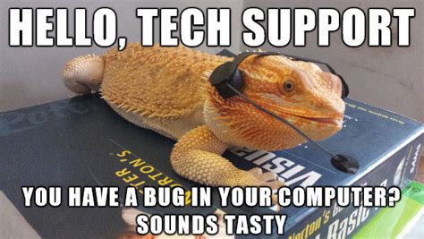 Bearded-Dragon-Memes-Tech-Support.jpeg