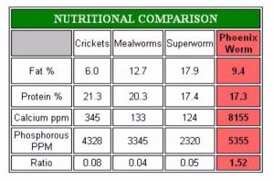 nutrition chart for bugs.jpg