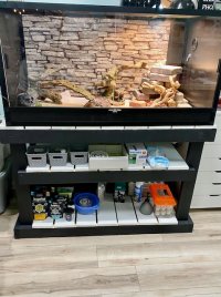 IMG_6433.jpeg