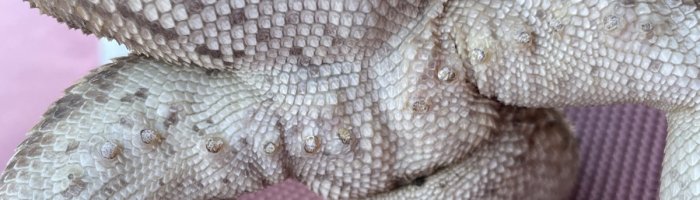 D647718E-43C2-48C8-9361-560F776636C1.jpeg
