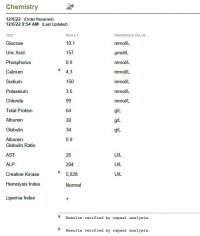 Blood Work 2.jpg