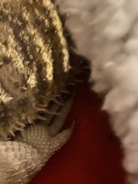 E633EBE8-E78E-4540-9409-A45C07F420D6.jpeg