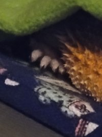 20230315_071423.jpg