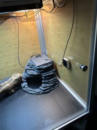 IMG_1977.jpeg