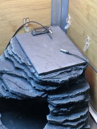 IMG_1976.jpeg