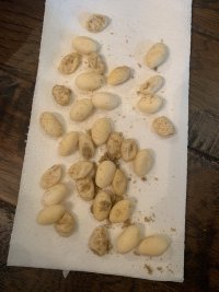 IMG_1956.jpeg