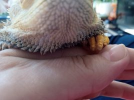 IMG_20230526_113427593 (1).jpg