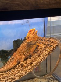 IMG_1181.jpeg