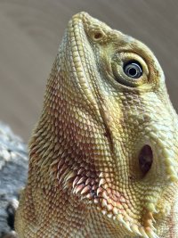 IMG_2673.jpeg