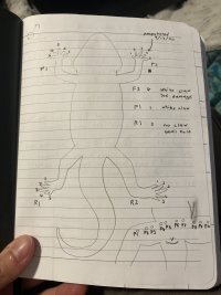 image.jpg