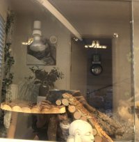 IMG_9257.jpeg