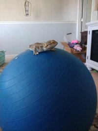 IMG_20230925_163133840.jpg
