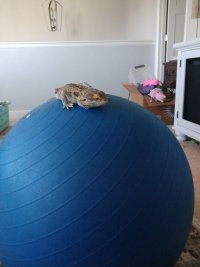 IMG_20230925_163131593.jpg