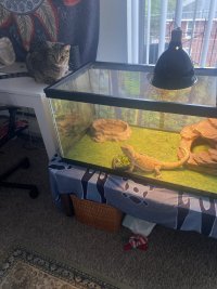 IMG_8810.jpeg