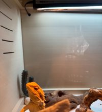 IMG_5190.jpeg