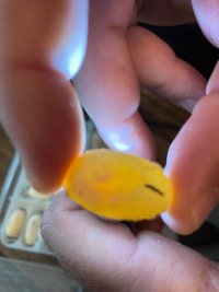 egg1.jpg