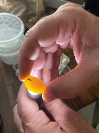 egg3.jpg