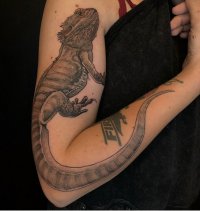 IMG_4511.jpeg