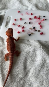 IMG_7334.jpeg