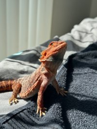 IMG_7203.jpeg