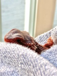 IMG_7179.jpeg