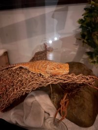 IMG_1102.jpg