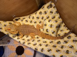 IMG_6949.jpeg