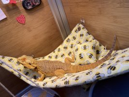 IMG_6947.jpeg