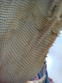 IMG_20240609_165716392.jpg