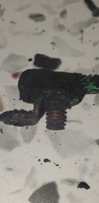 20240616_144723.jpg