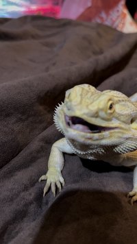 IMG_6382.jpeg