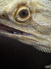 IMG_6372.jpeg
