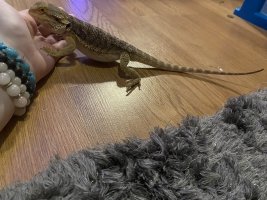 IMG_6405.jpeg
