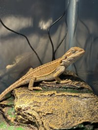 IMG_7263.jpeg