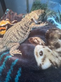 IMG_2840.jpeg