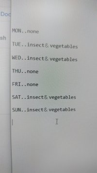 240712142808425.JPG