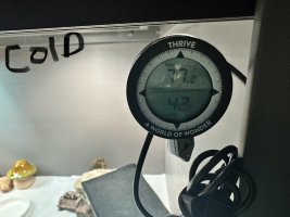 IMG_0335.jpeg