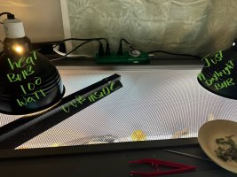 IMG_0336.jpeg