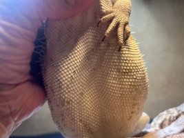 IMG_4487.jpeg