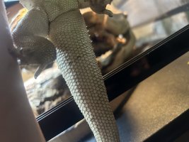 IMG_4488.jpeg