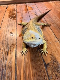 IMG_4799.jpeg