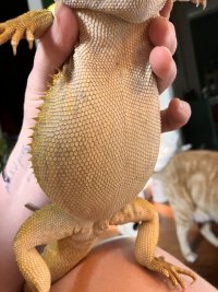 IMG_4802.jpeg
