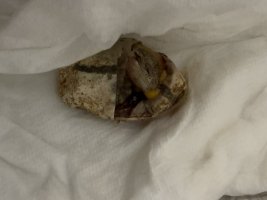 IMG_8180.jpeg