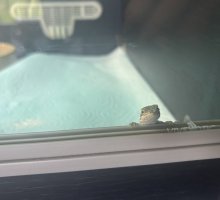 IMG_8192.jpeg
