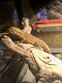 IMG_8759.jpeg