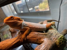 IMG_9884.jpg