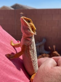 IMG_9895.jpg