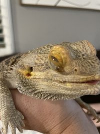 IMG_2861.jpeg