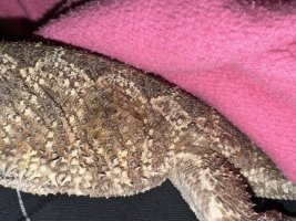 IMG_4212.jpeg