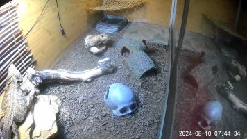 D03F271BF9EA_1723297470418.jpg
